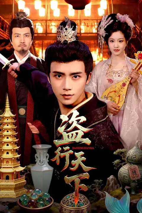 《盗行天下》封面