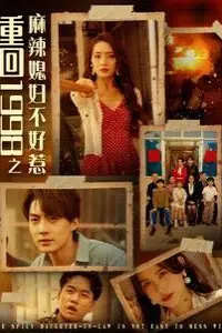 《重回1998之麻辣媳妇不好惹》封面