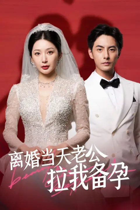 《离婚当天老公拉我备孕》封面