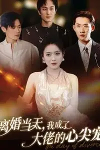 《离婚当天我成了大佬的心尖宠》封面