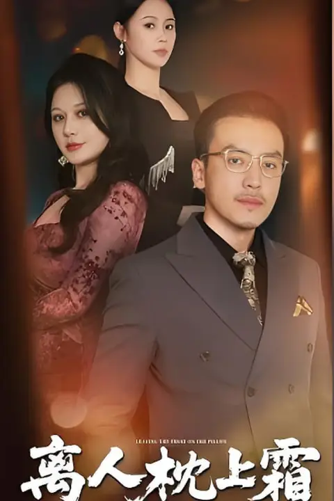 《离人枕上霜》封面