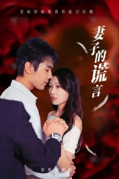 《妻子的谎言》封面