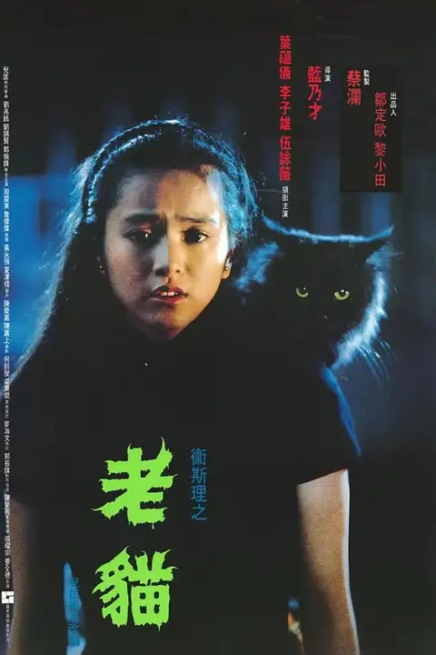《卫斯理之老猫》封面