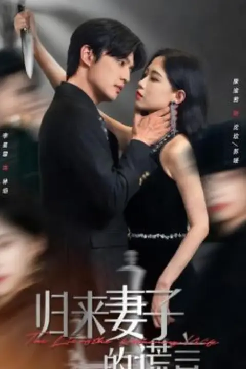 《归来妻子的谎言》封面