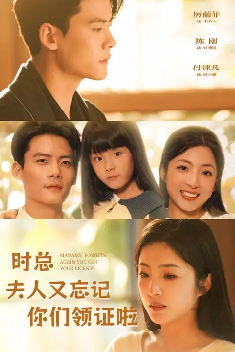 《时总,夫人又忘记你们领证啦》封面