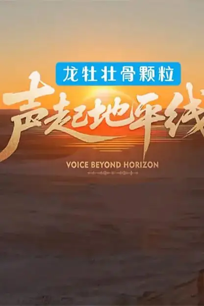 《声起地平线》封面