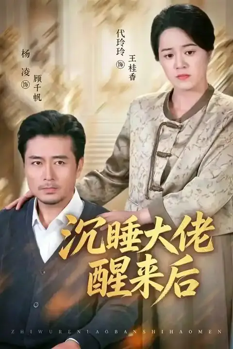 《沉睡大佬醒来后》封面