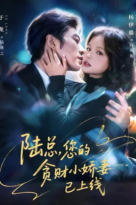 《陆总,您的贪财小娇妻已上线》封面