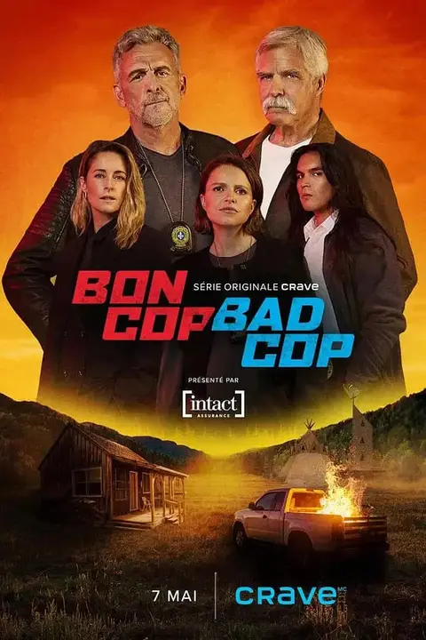 《好警察坏警察》封面