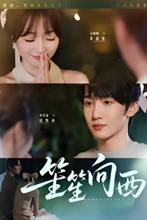 《笙笙向西》封面