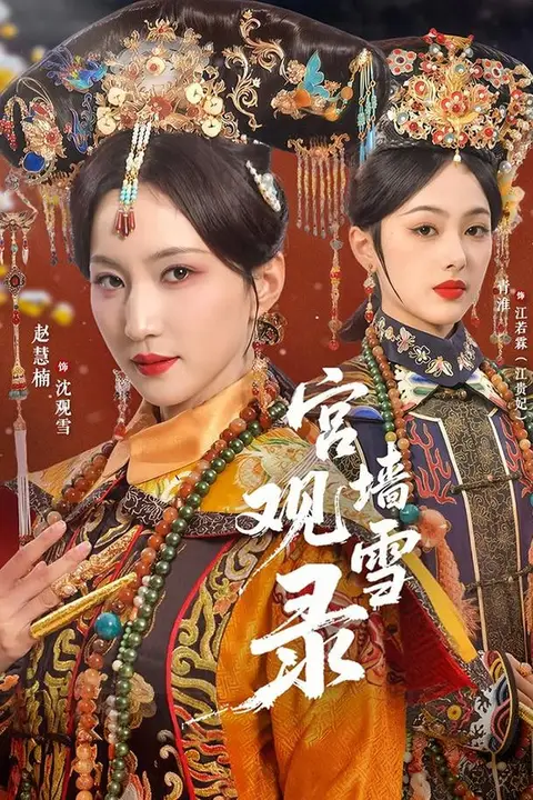 《宫墙观雪录》封面