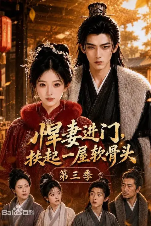 《悍妻进门,扶起一屋软骨头第三季》封面