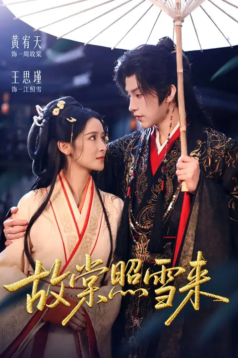 《故棠照雪来》封面