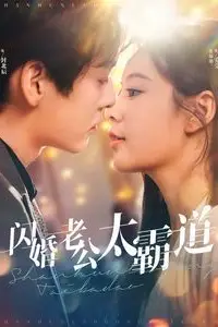 《闪婚老公太霸道》封面