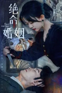 《绝命婚姻》封面