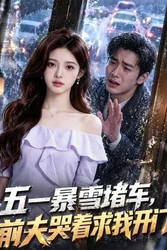 《五一暴雪堵车,前夫哭着求我开门》封面