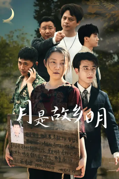 《新月是故乡明》封面