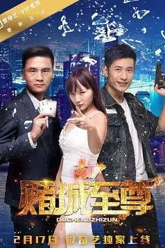 《赌城至尊》封面