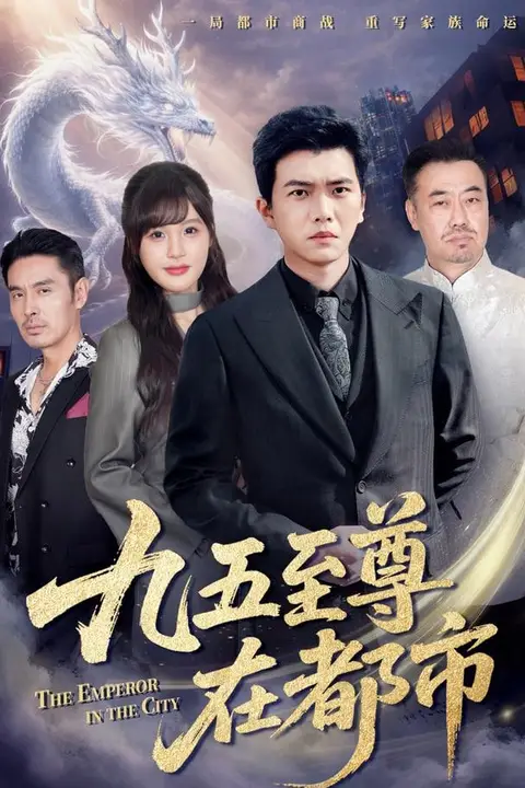 《九五至尊在都市》封面