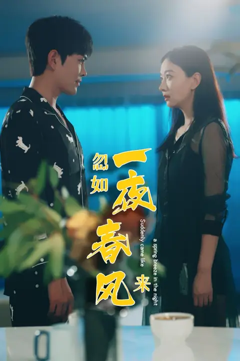 《忽如一夜春风来》封面