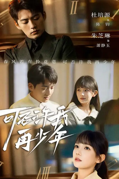 《可否许我再少年》封面
