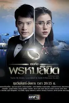 《命中注定我爱你》封面