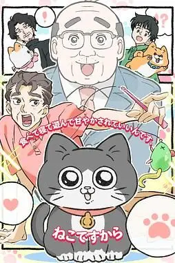 《转生成猫的大叔》封面