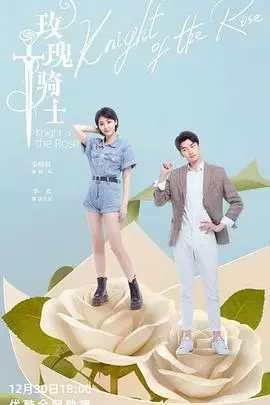 《玫瑰骑士》封面