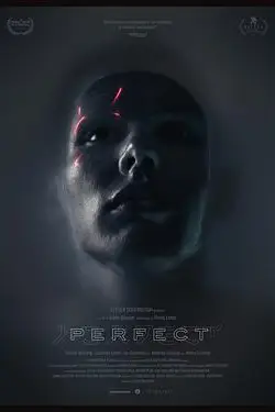 《完美Perfect》封面