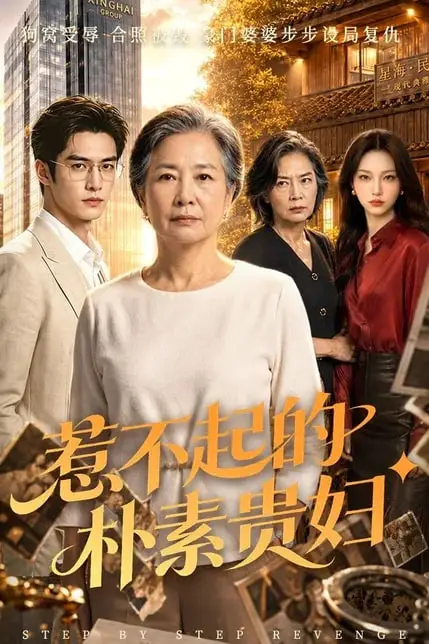 《惹不起的朴素贵妇》封面
