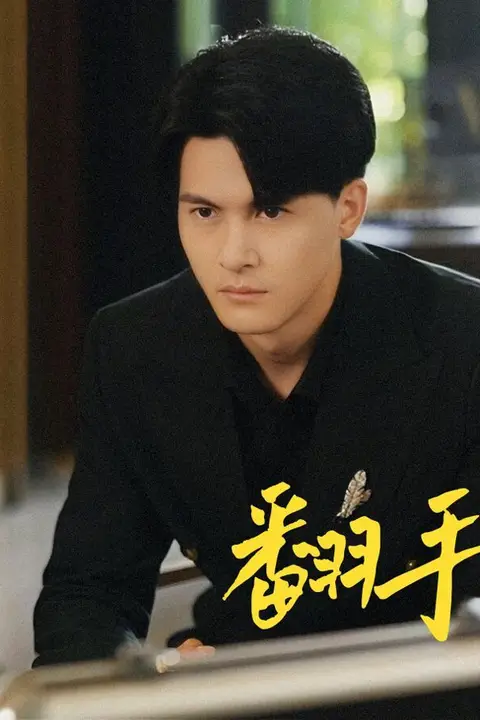 《翻手为云》封面