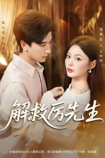 《解救厉先生》封面
