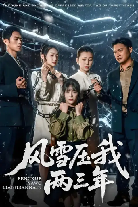 《风雪压我两三年》封面