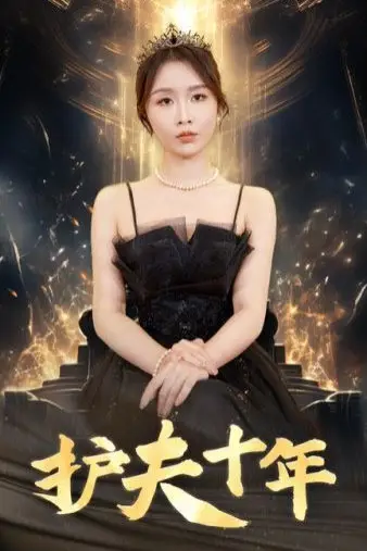 《护夫十年》封面