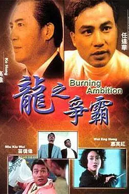 《龙之争霸》封面