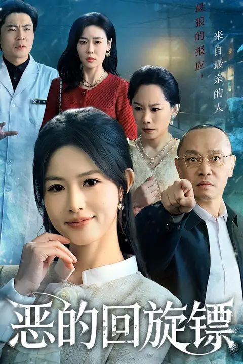 《恶的回旋镖（恶的蝴蝶效应）》封面