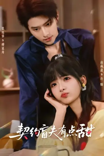 《契约盲夫有点甜》封面