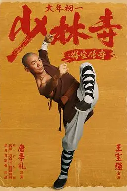 《少林寺之得宝传奇》封面