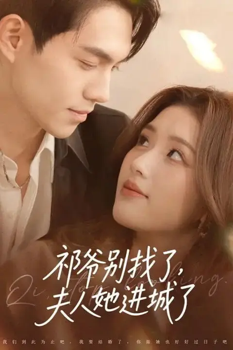 《祁爷别找了,夫人她进城了》封面