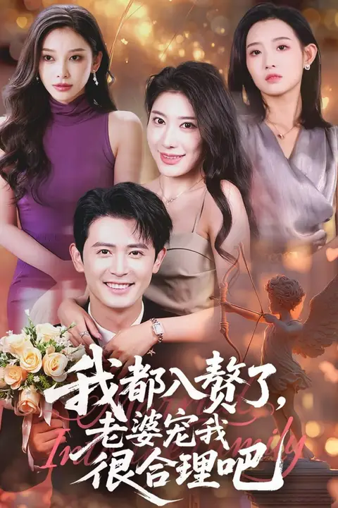 《我都入赘了老婆宠我很合理吧》封面