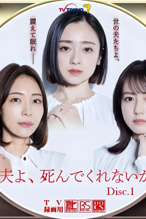《老公啊,你能去死吗》封面