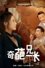 《奇葩兄长》封面
