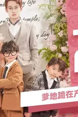 《一胎四宝，爹地跪在产房痛哭流涕》封面