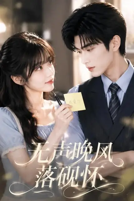 《无声晚风落砚怀》封面