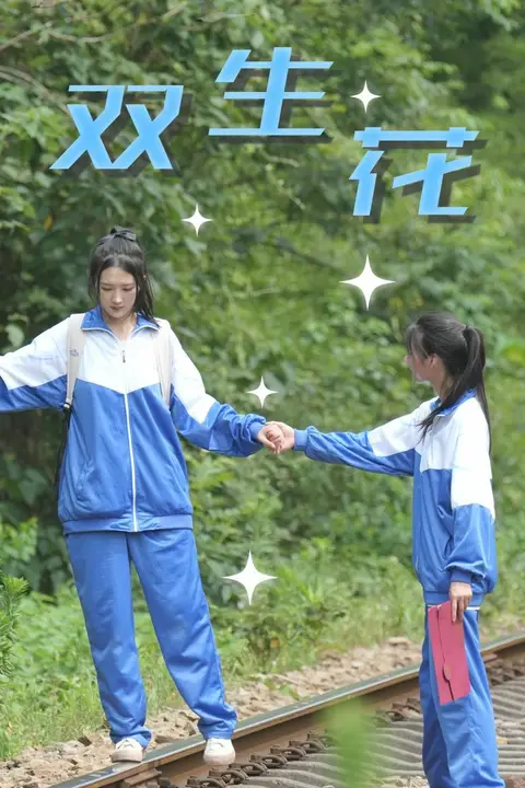 《双生花》封面