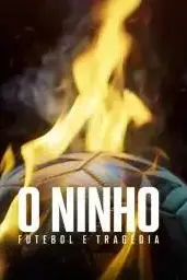 《美梦成灰 巴西球坛大火案》封面
