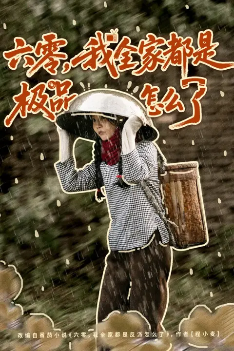 《六零,我全家都是极品怎么了》封面