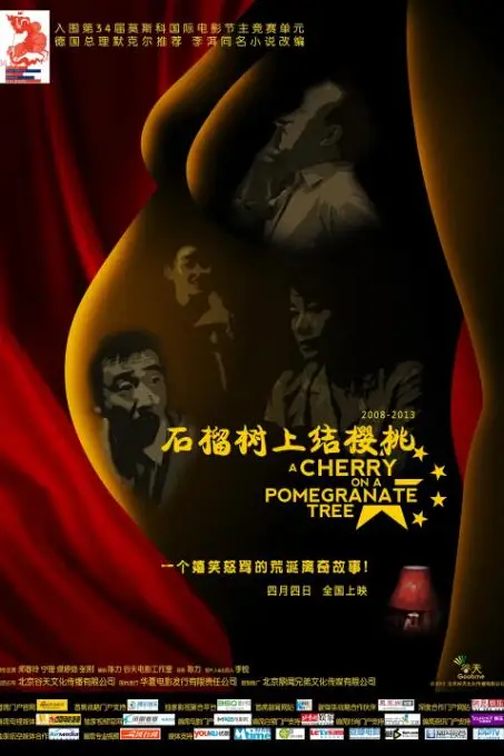 《石榴树上结樱桃》封面