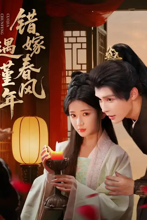 《错嫁春风遇瑾年》封面