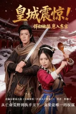 《皇城震惊!悍妇她揣崽入东宫》封面